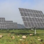 effektiver Energiengewinn aus Solarthermie oder Photovoltaik