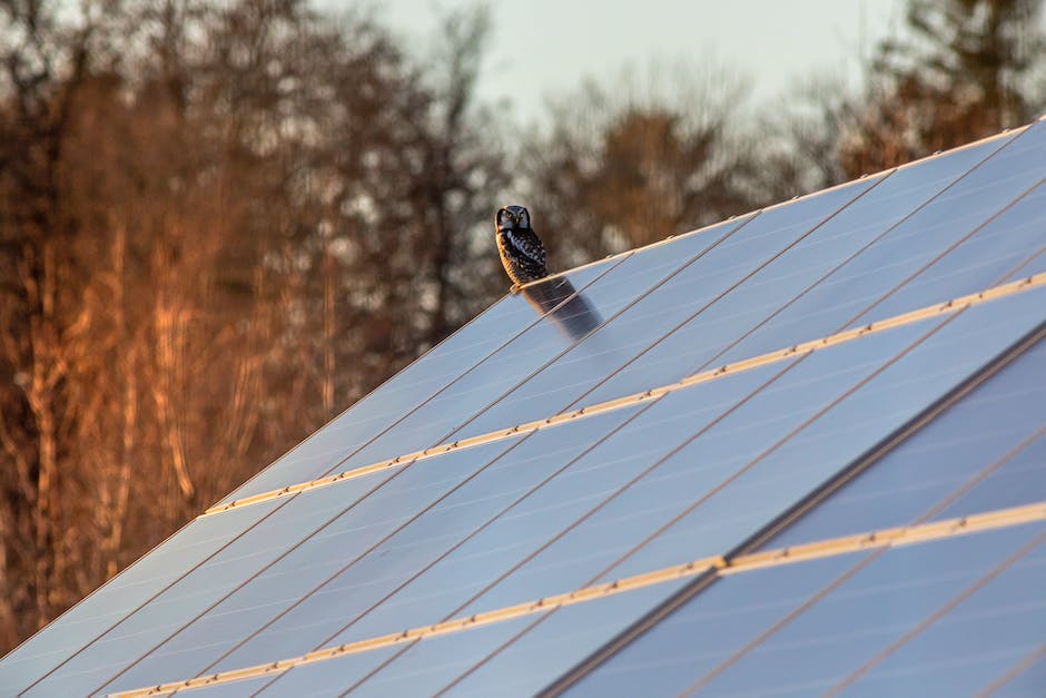 Photovoltaik zur Geldgenerierung nutzen